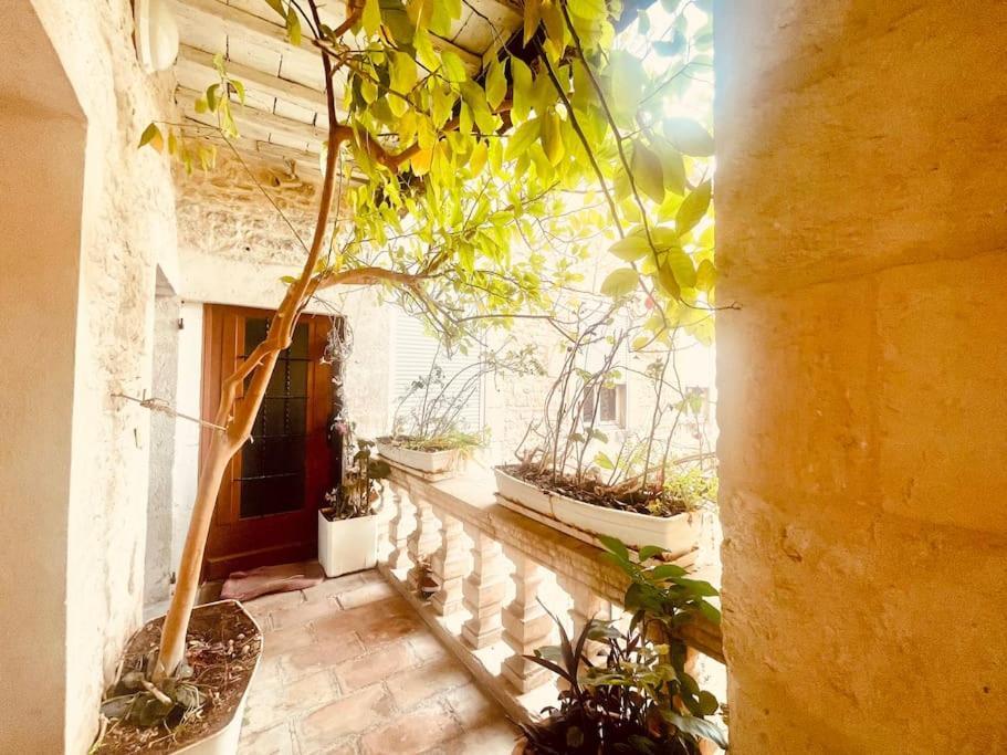 Apartament Evasion Urbaine**** Nîmes Zewnętrze zdjęcie